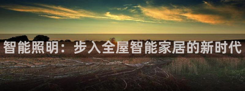 云顶国际酒店位置
