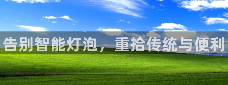 云顶国际中学