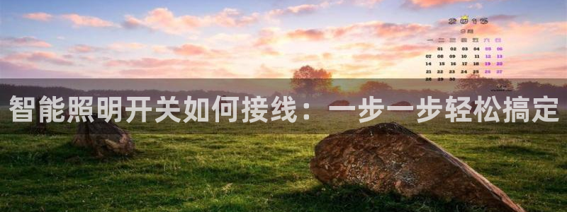 云顶集团林志华简介