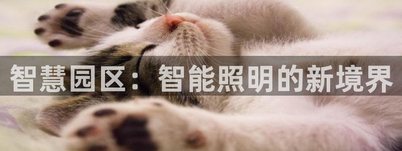 云顶国际部