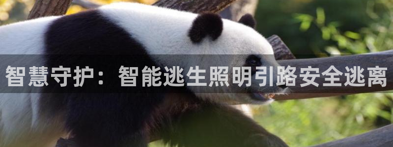 云顶国际服什么时候更新赛季