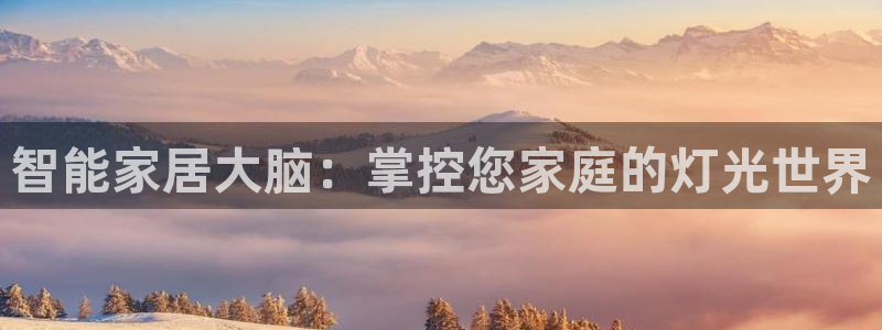 云顶国际软件官网下载