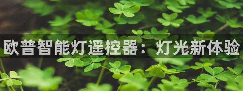 云顶国际游戏官方网站