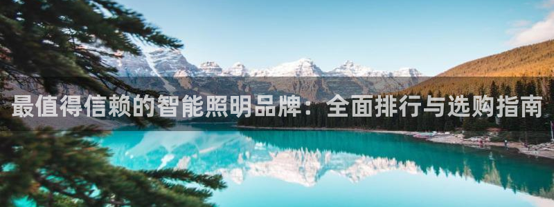 云顶国际软装公司怎么样啊