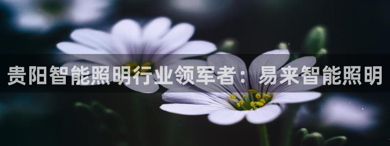 云顶国际服更新时间