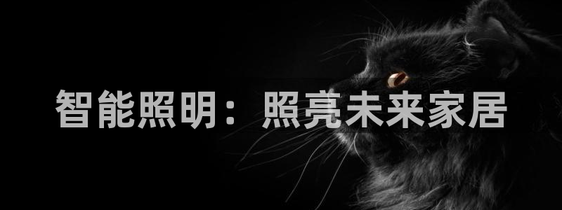云顶国际