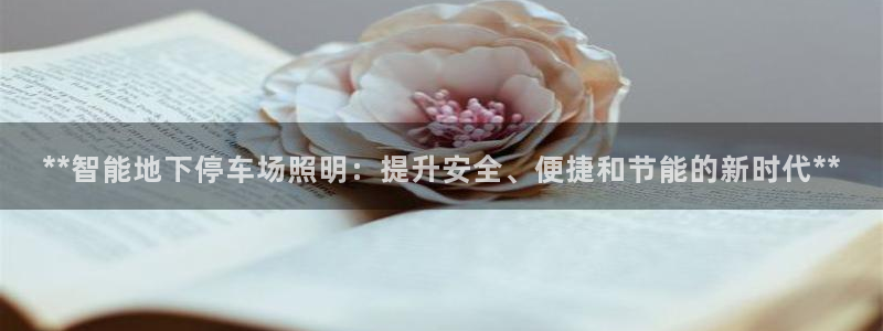 云顶国际高中学费多少钱