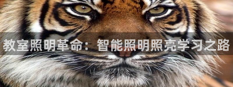 云顶国际在线购彩怎么买