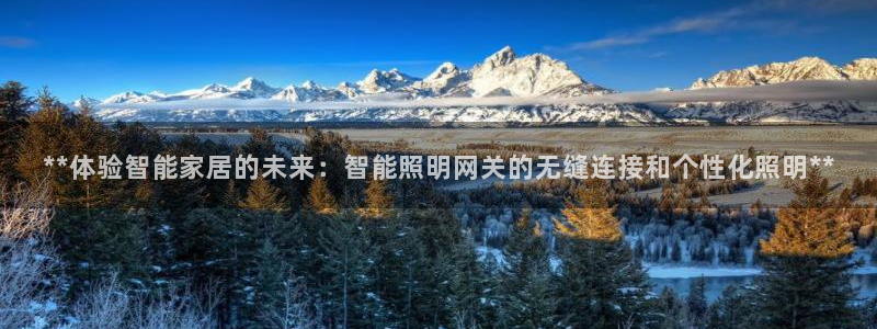 云顶国际club