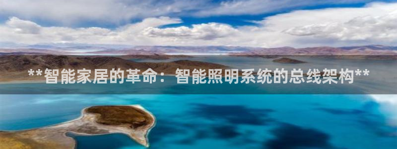 云顶国际服叫什么