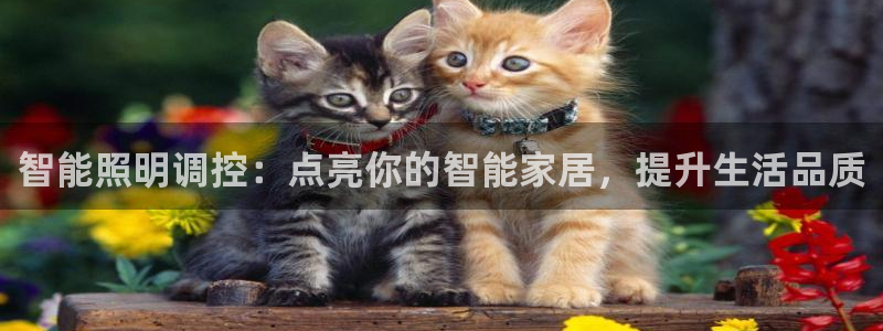 云顶国际教育