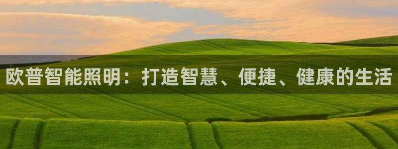 云顶国际服下载