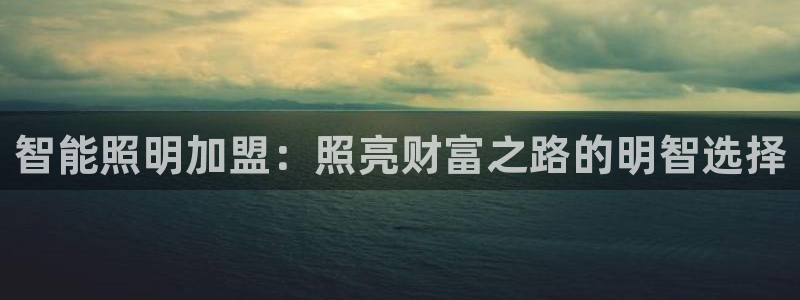 云顶集团网投领