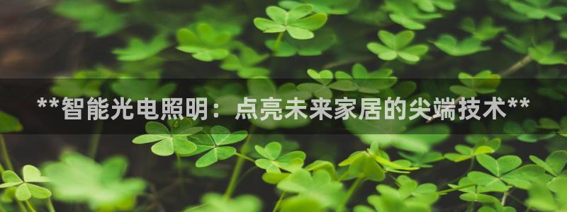 云顶国际服s9