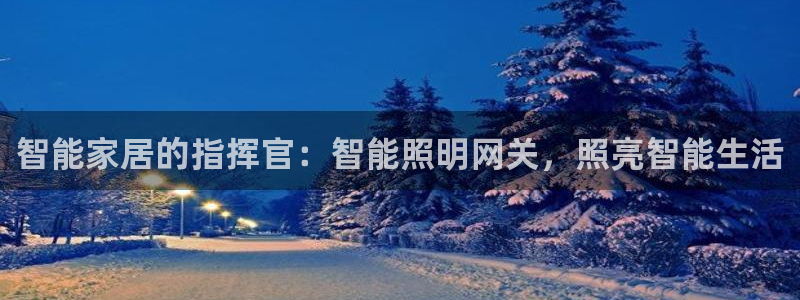 云顶国际要怎么注册