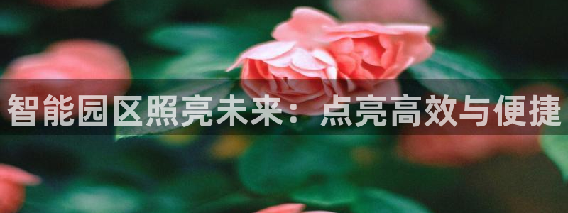 云顶国际和百姓渔村