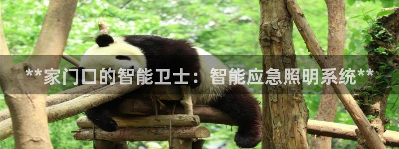 云顶集团3118app