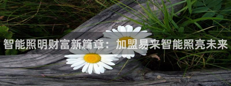 云顶国际服叫什么