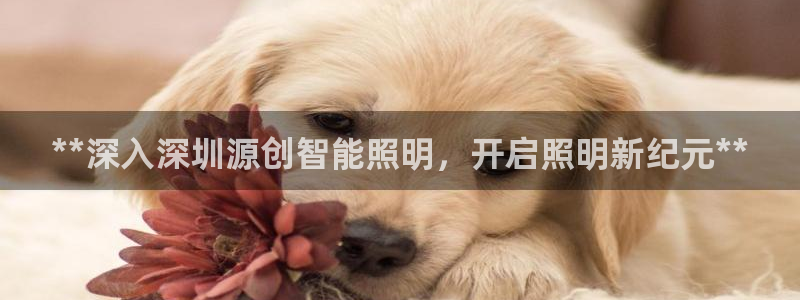云顶国际教育