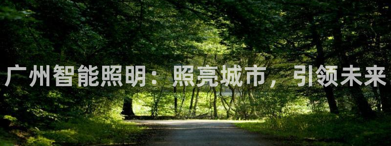 云顶国际在线购彩怎么买
