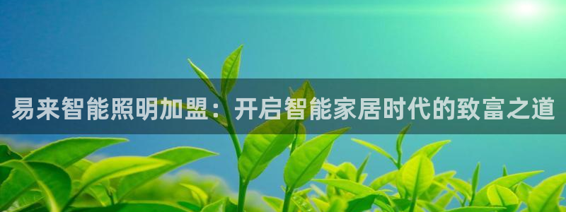 云顶国际区块链怎么样啊