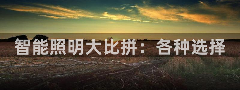 云顶集团董事长林东简历介绍