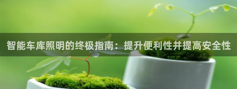 云顶国际高中学费多少钱一年