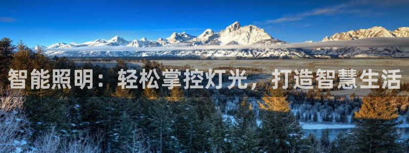 云顶国际nba智库