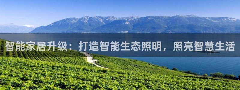 云顶集团网站app下载安装