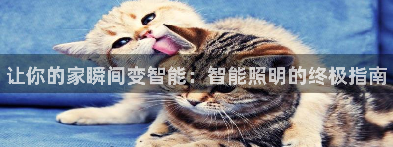 云顶国际app官方下载安装手机版