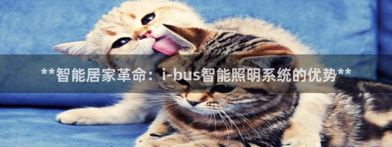 云顶国际服下面按键不灵敏