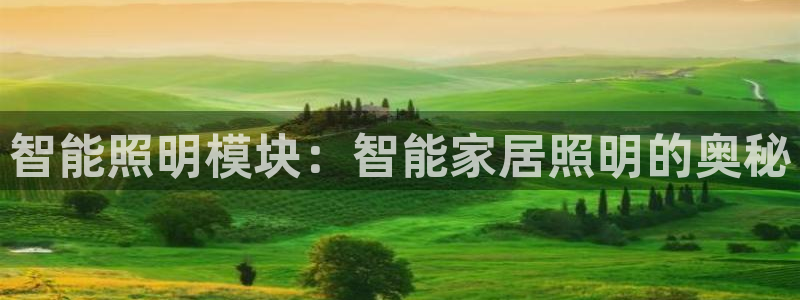 云顶国际测试服免费领取