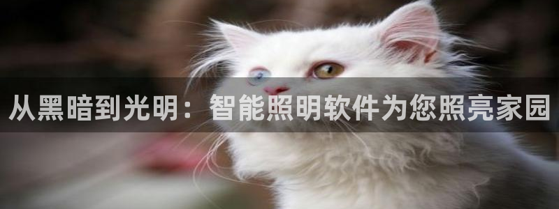 云顶集团公司董事长是谁