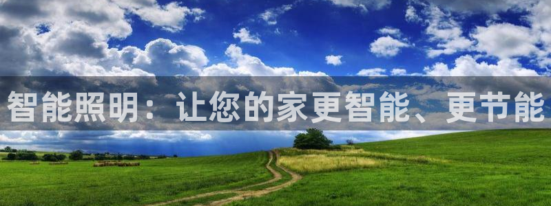 云顶国际服叫什么