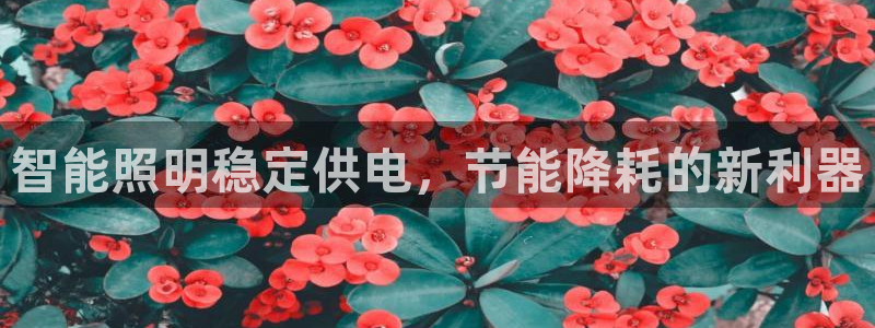 云顶国际滑雪场开放时间