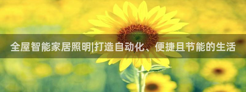 云顶国际是正规平台吗