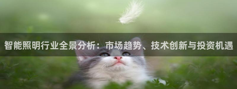 云顶国际服哪个服人多