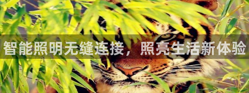 云顶国际提现不到账