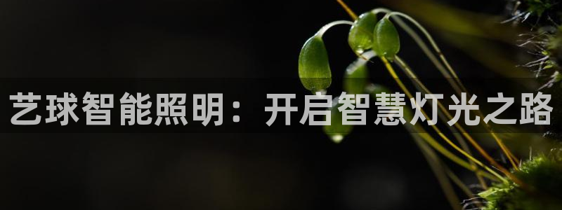 yd2333云顶