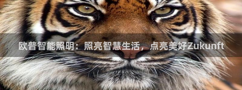 2322云顶国际手机版