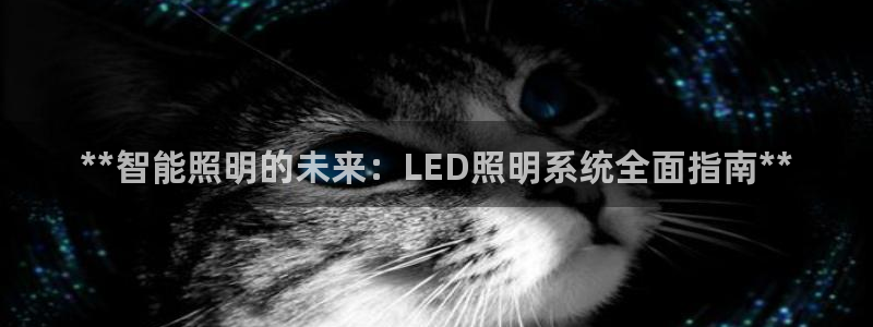 yd2333云顶电子游戏