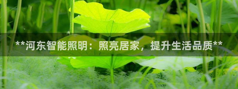 云顶集团是真实的吗