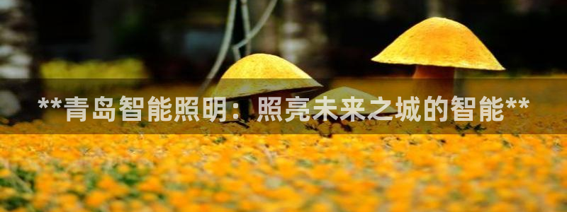 香港云顶集团老板