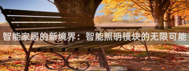 云顶国际服怎么选服务器