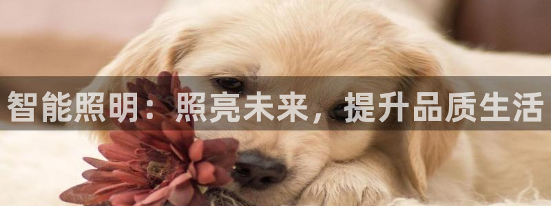 云顶国际是个什么平台