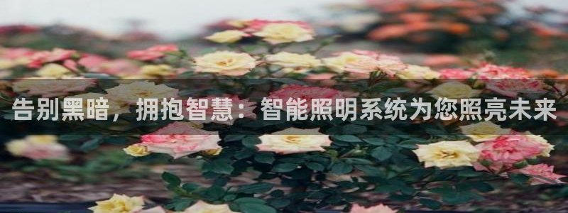云顶国际app官方下载