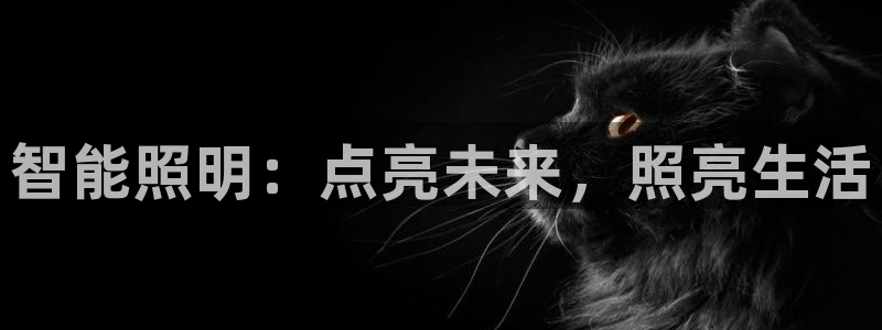 云顶国际网站怎么进不去了