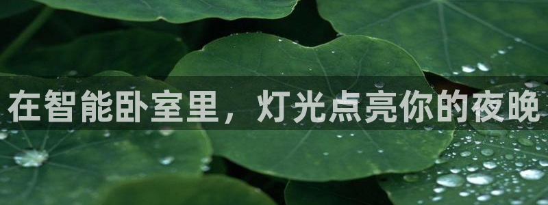 云顶国际app官方下载安卓