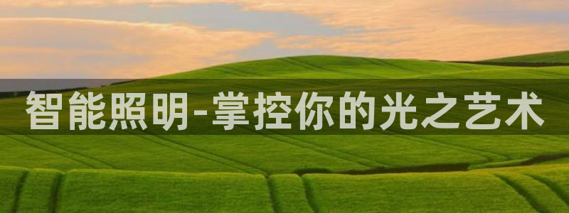 云顶国际高中学费多少