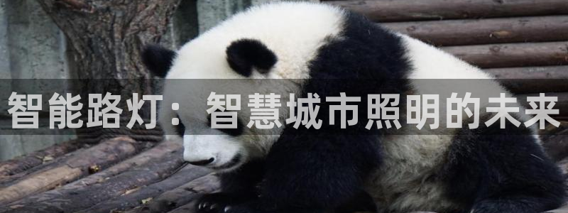 云顶集团3118app
